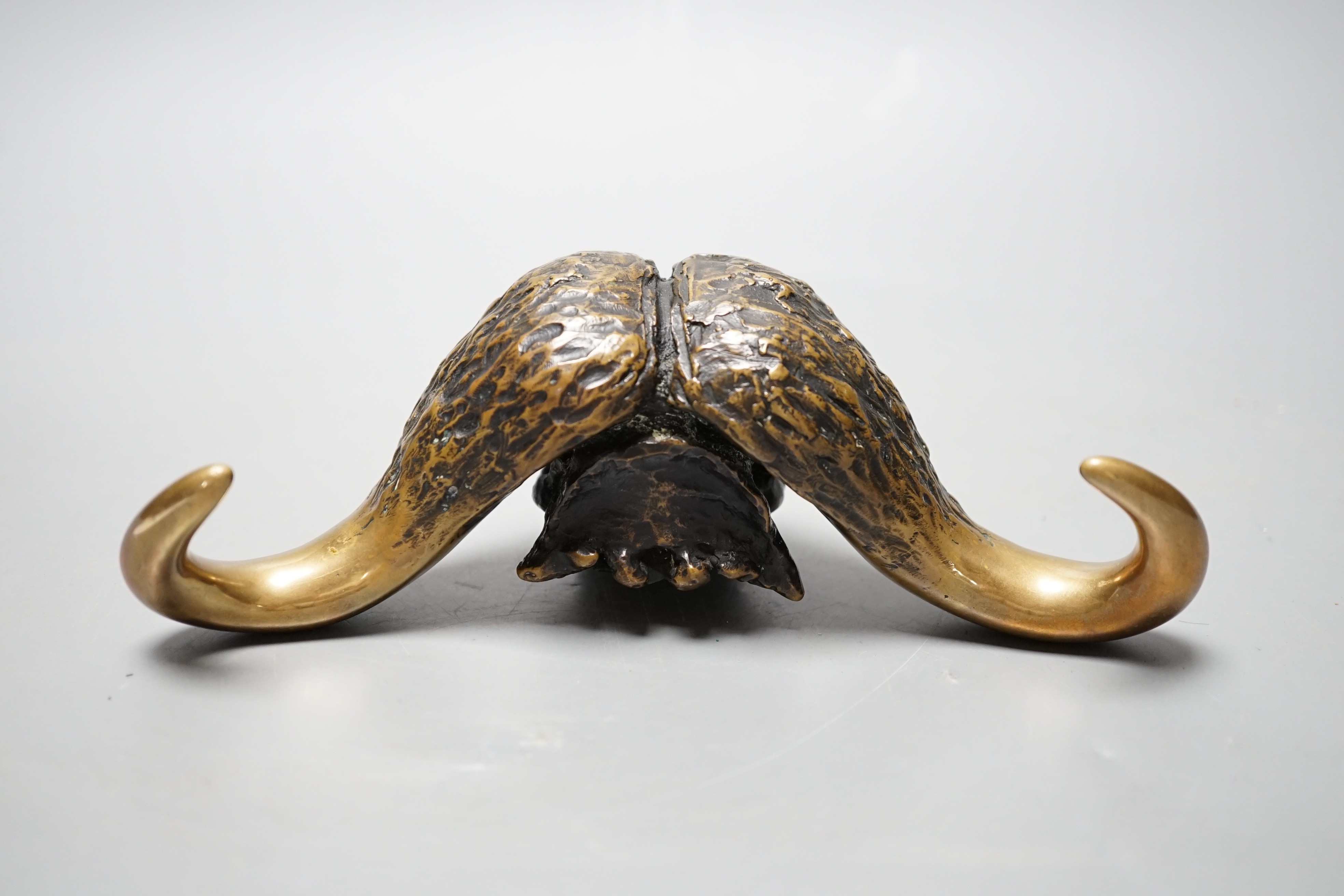 Robert Green, bronze model of a water buffalo skull, 18cm long